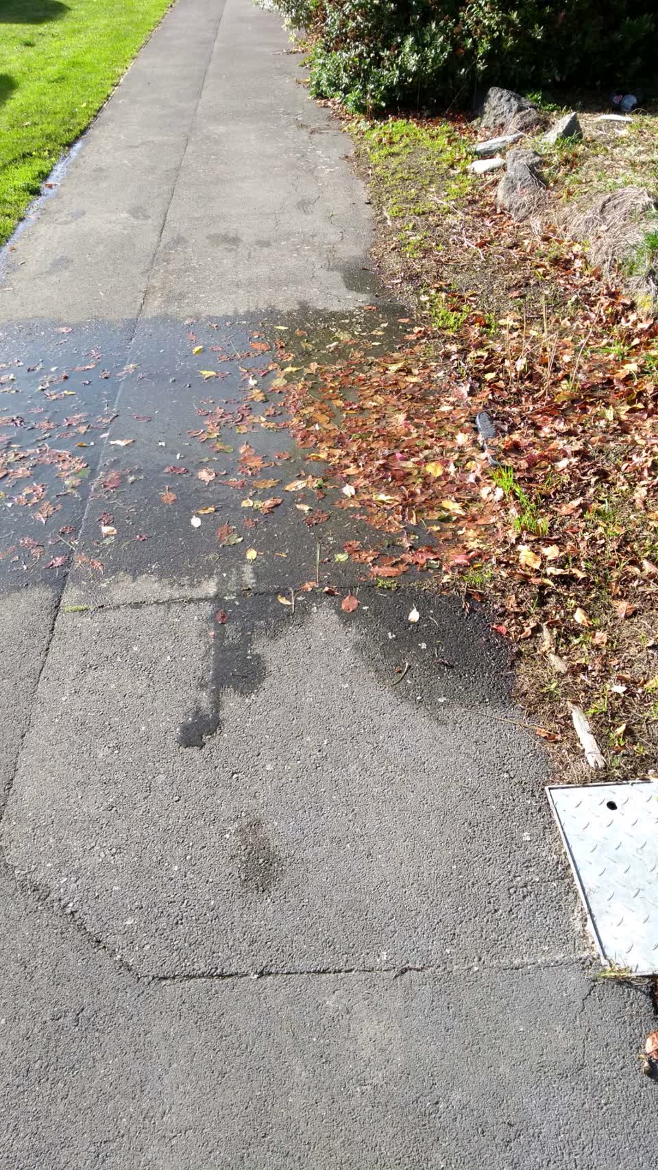 The photograph attached to this water supply report