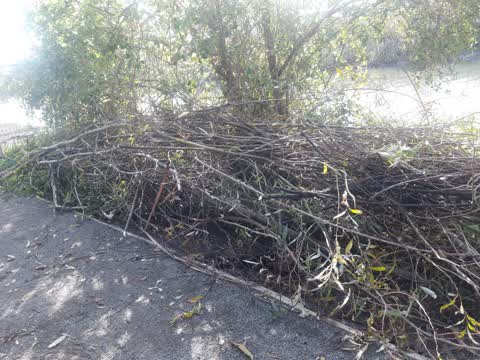 Rubbish/Recycling — a report photo