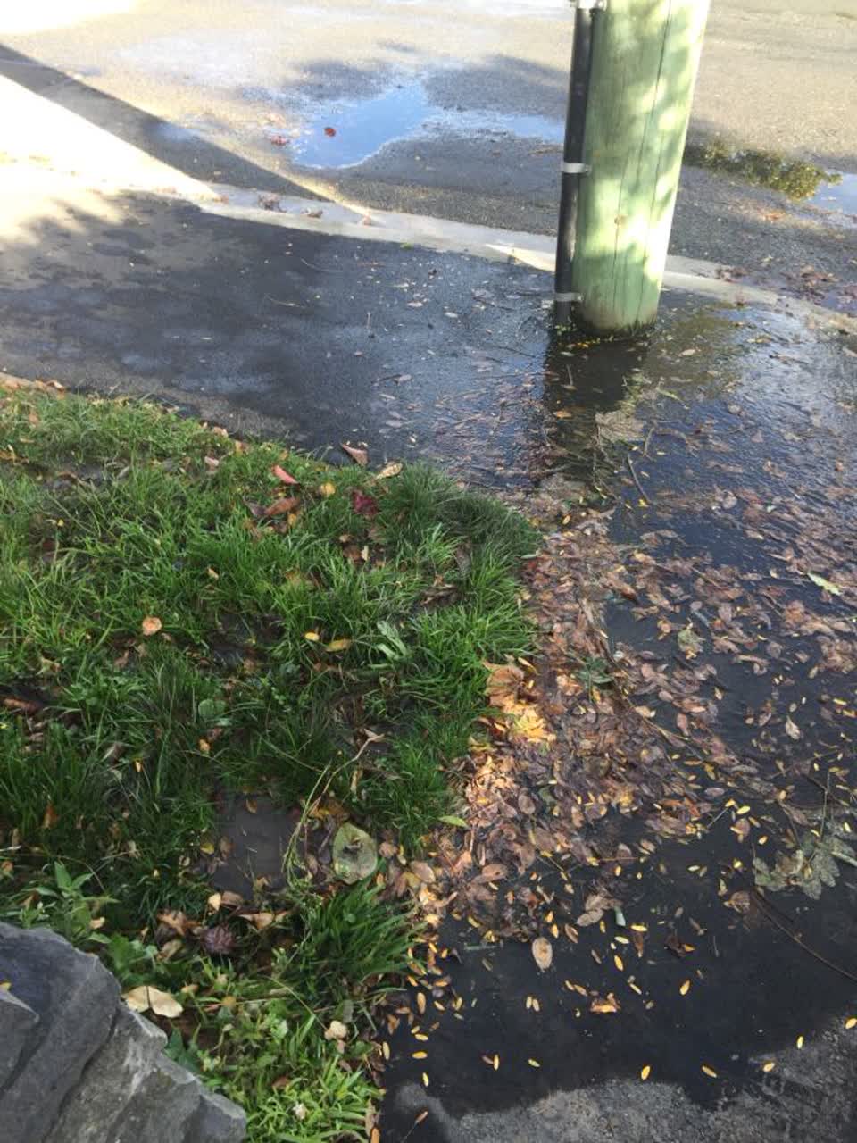 The photograph attached to this water supply report