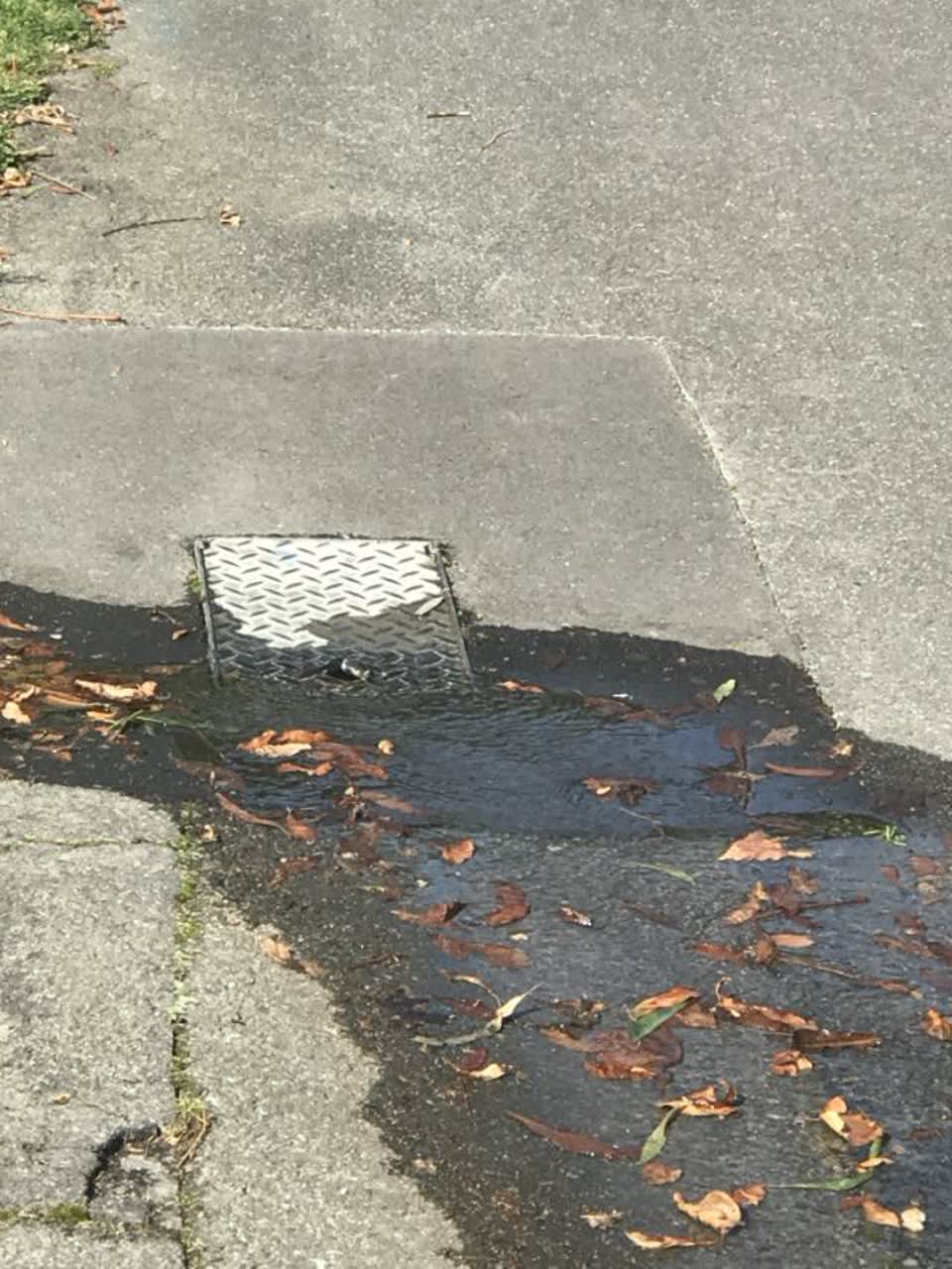 The photograph attached to this wastewater/stormwater report