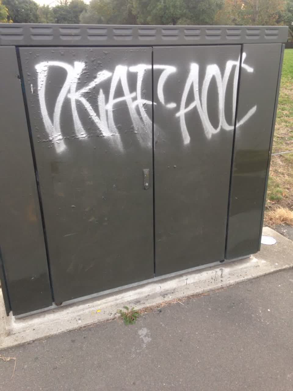 The photograph attached to this graffiti report
