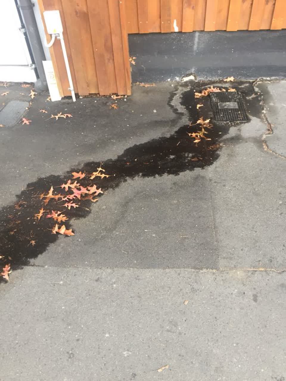 The photograph attached to this wastewater/stormwater report