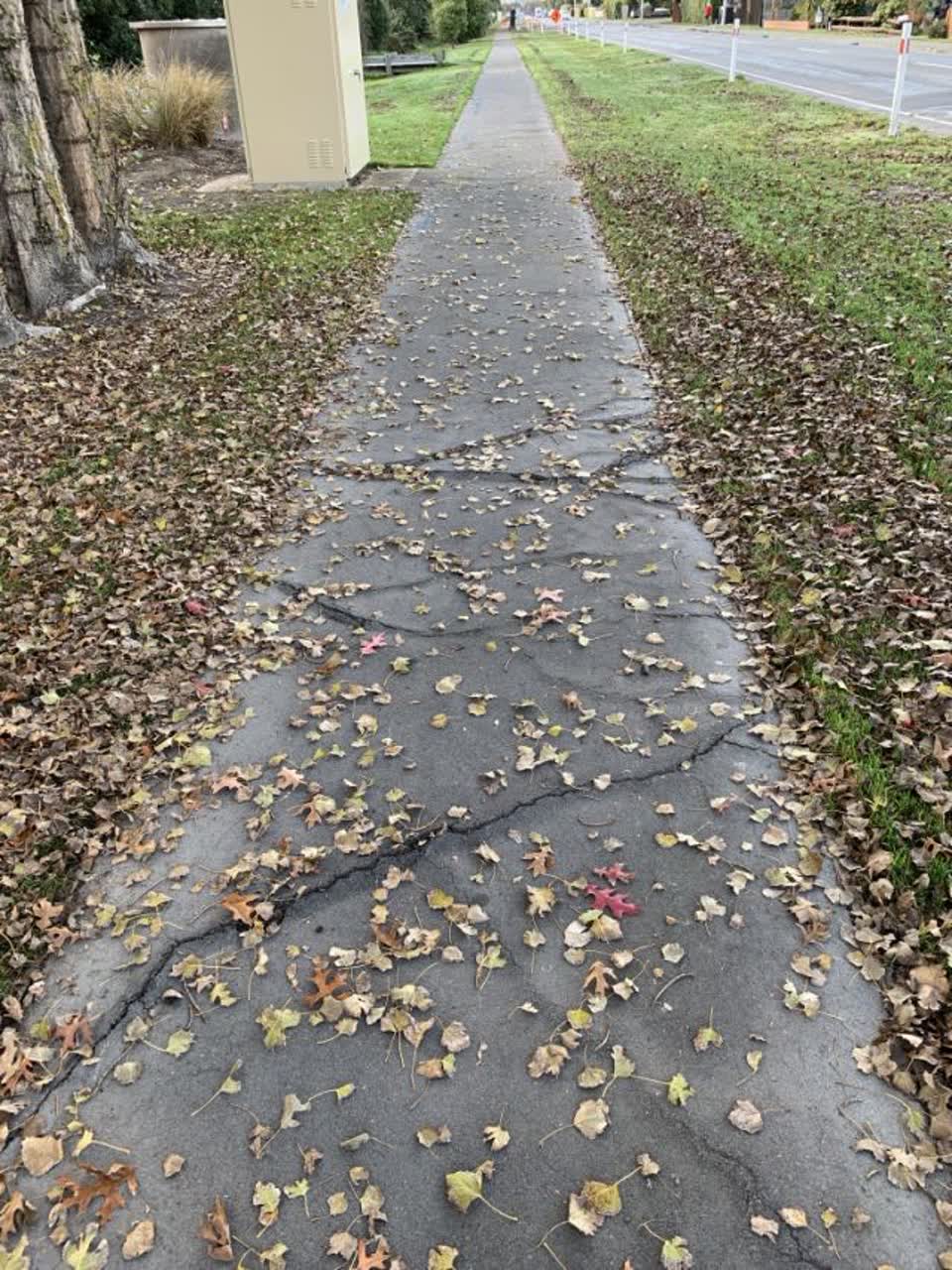 The photograph attached to this roading/streets report