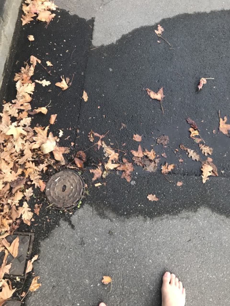 The photograph attached to this water supply report