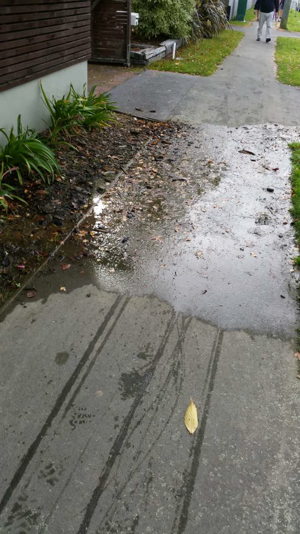 The photograph attached to this water supply report