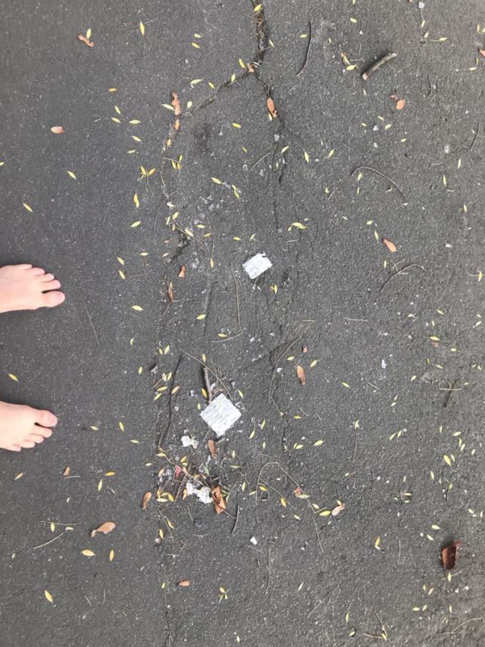 The photograph attached to this rubbish/recycling report