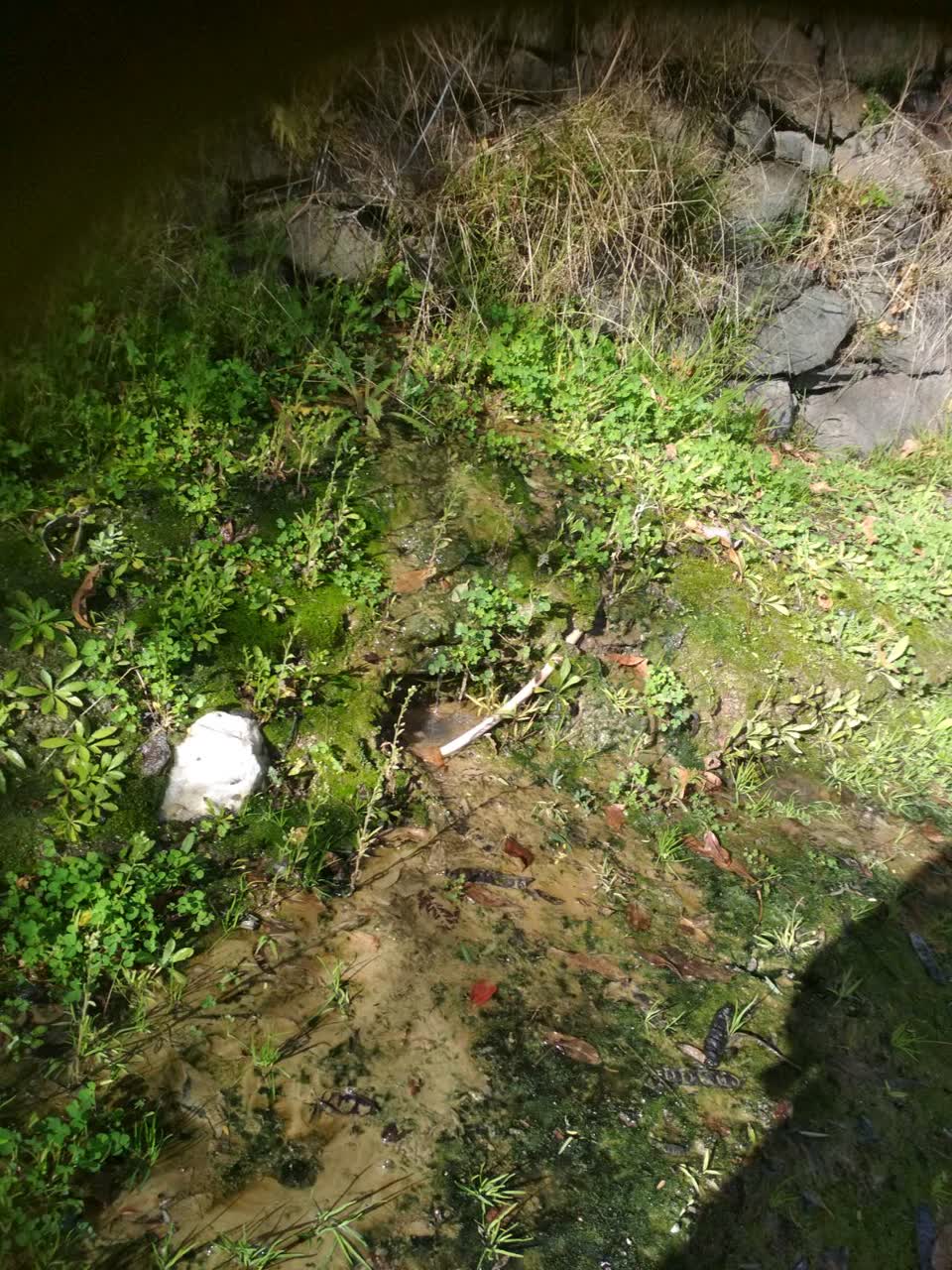The photograph attached to this wastewater/stormwater report