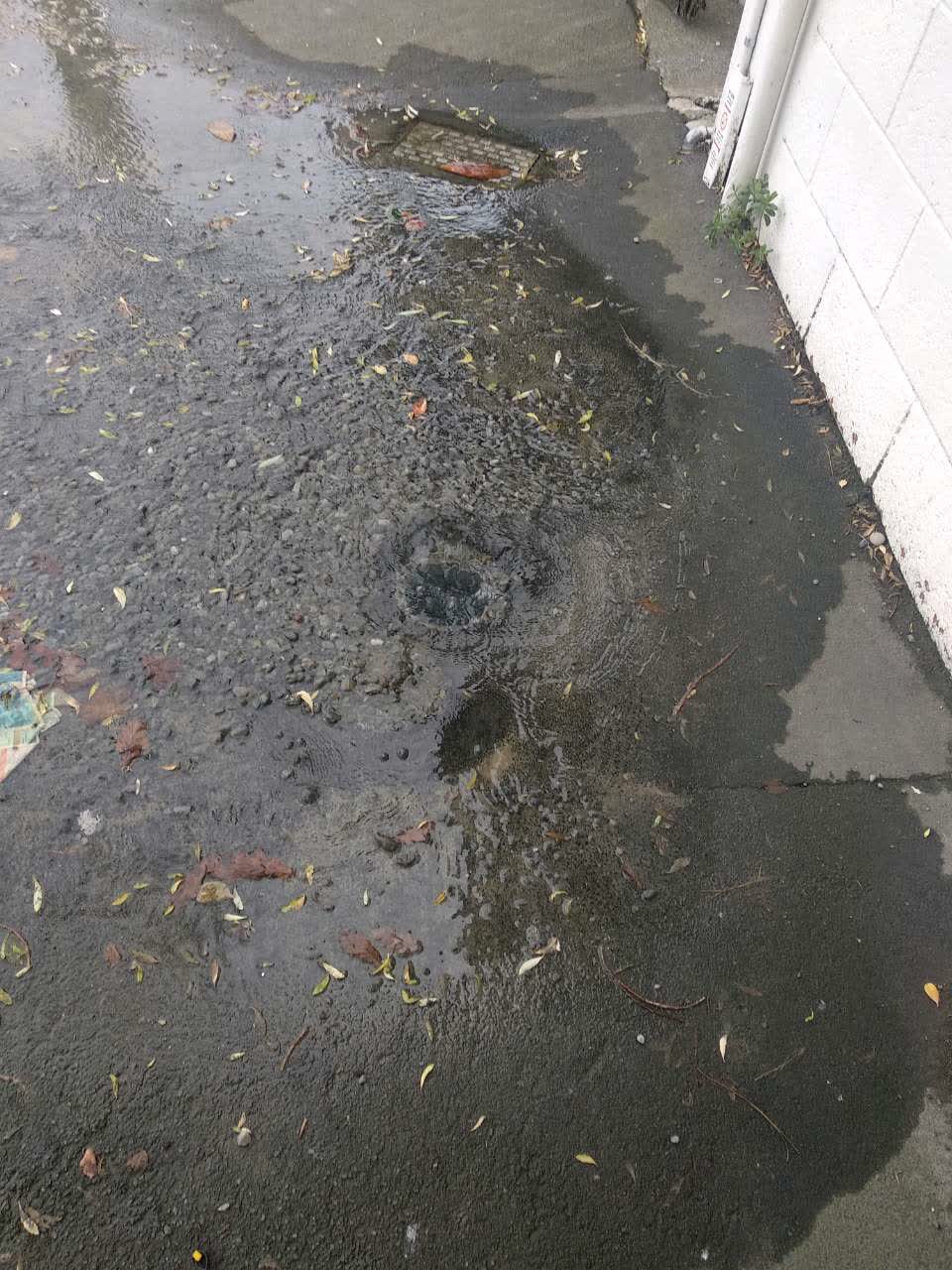 The photograph attached to this water supply report