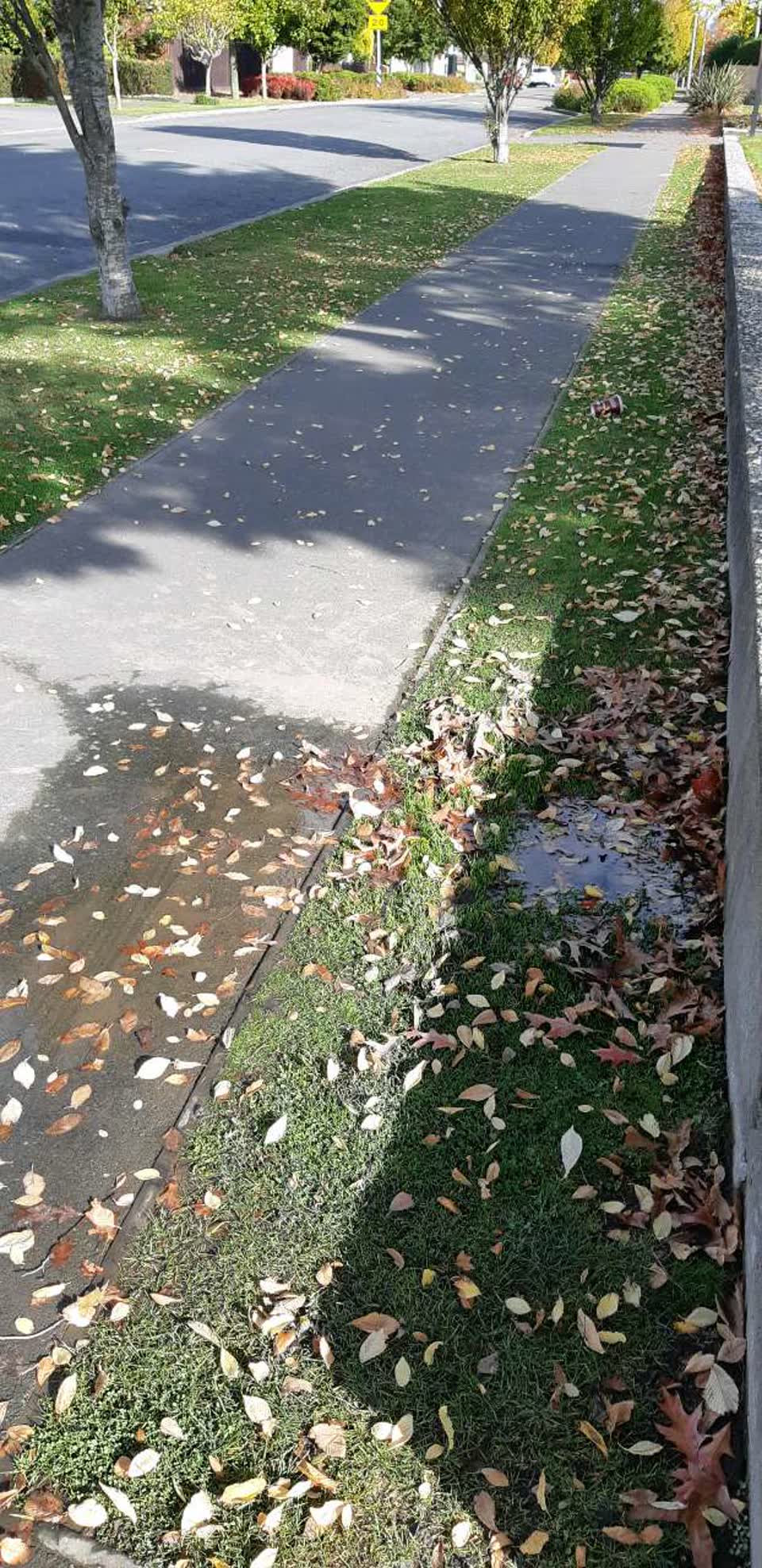 The photograph attached to this water supply report