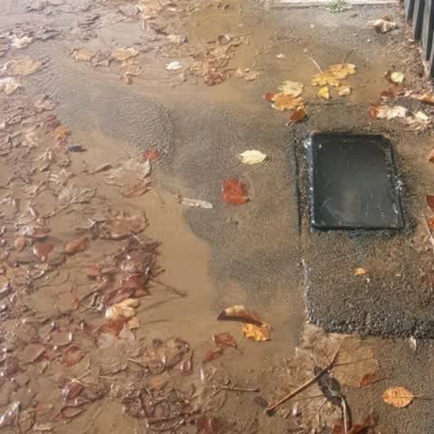 Water Supply, a report photo
