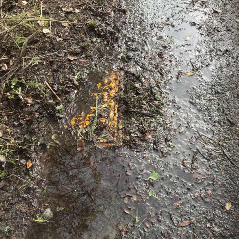 The photograph attached to this wastewater/stormwater report
