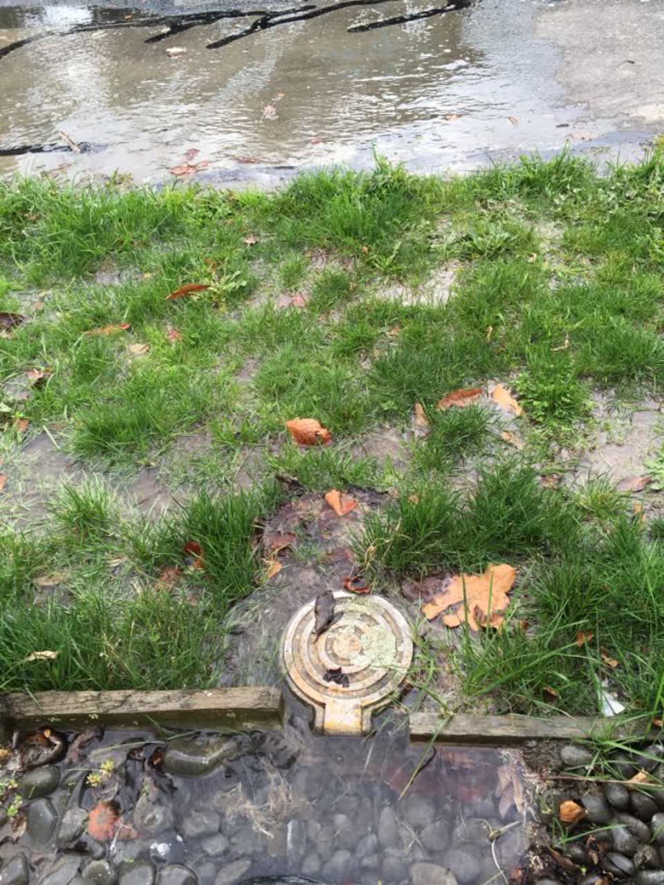 The photograph attached to this water supply report