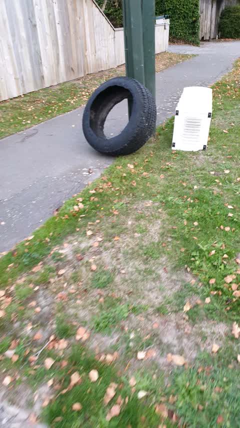 Rubbish/Recycling, a report photo