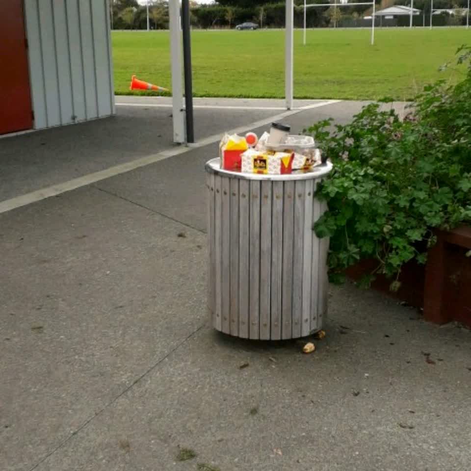 The photograph attached to this rubbish/recycling report