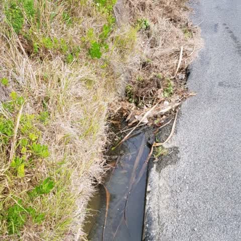 Wastewater/Stormwater, a report photo