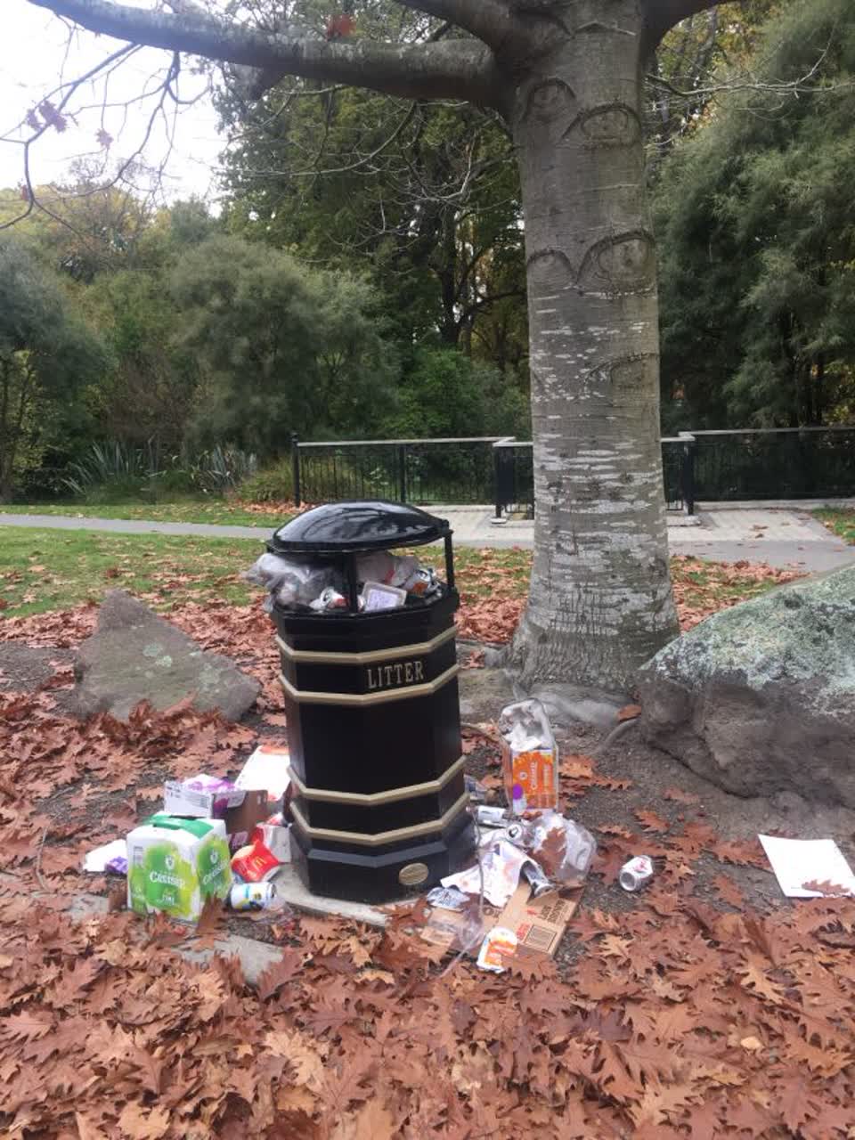 The photograph attached to this rubbish/recycling report