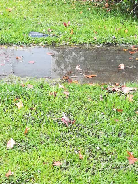 Water Supply, a report photo