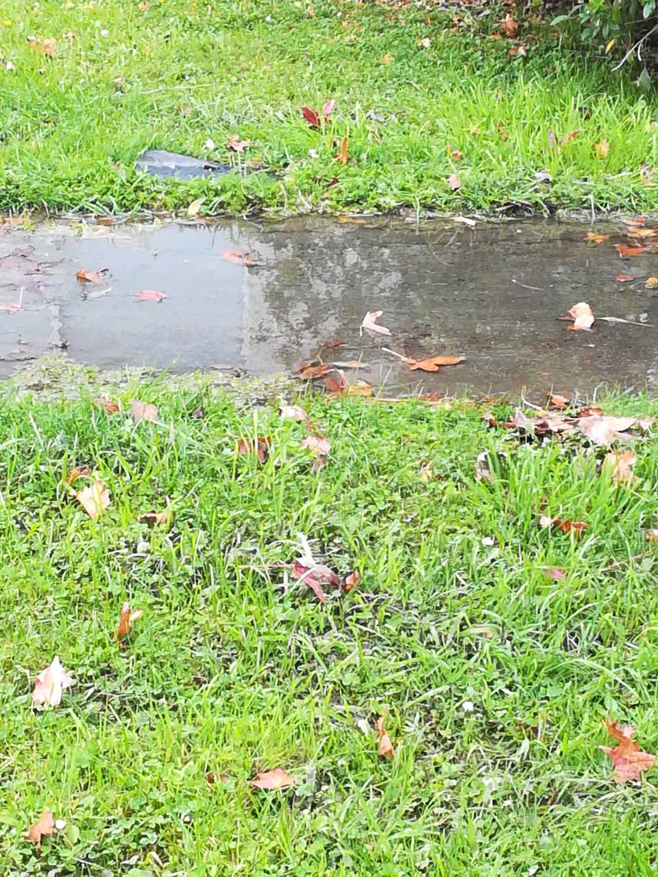 The photograph attached to this water supply report