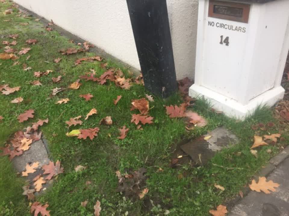 The photograph attached to this water supply report