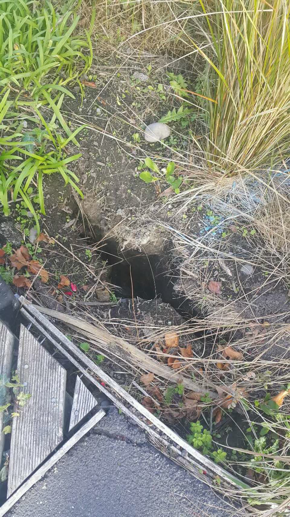 The photograph attached to this parks report