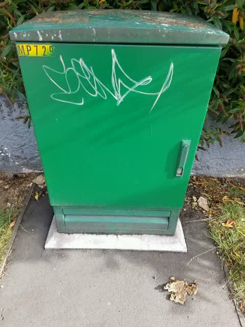 Graffiti, a report photo