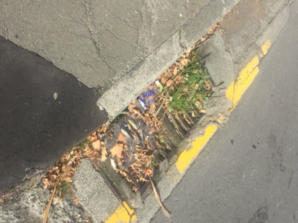 The photograph attached to this wastewater/stormwater report