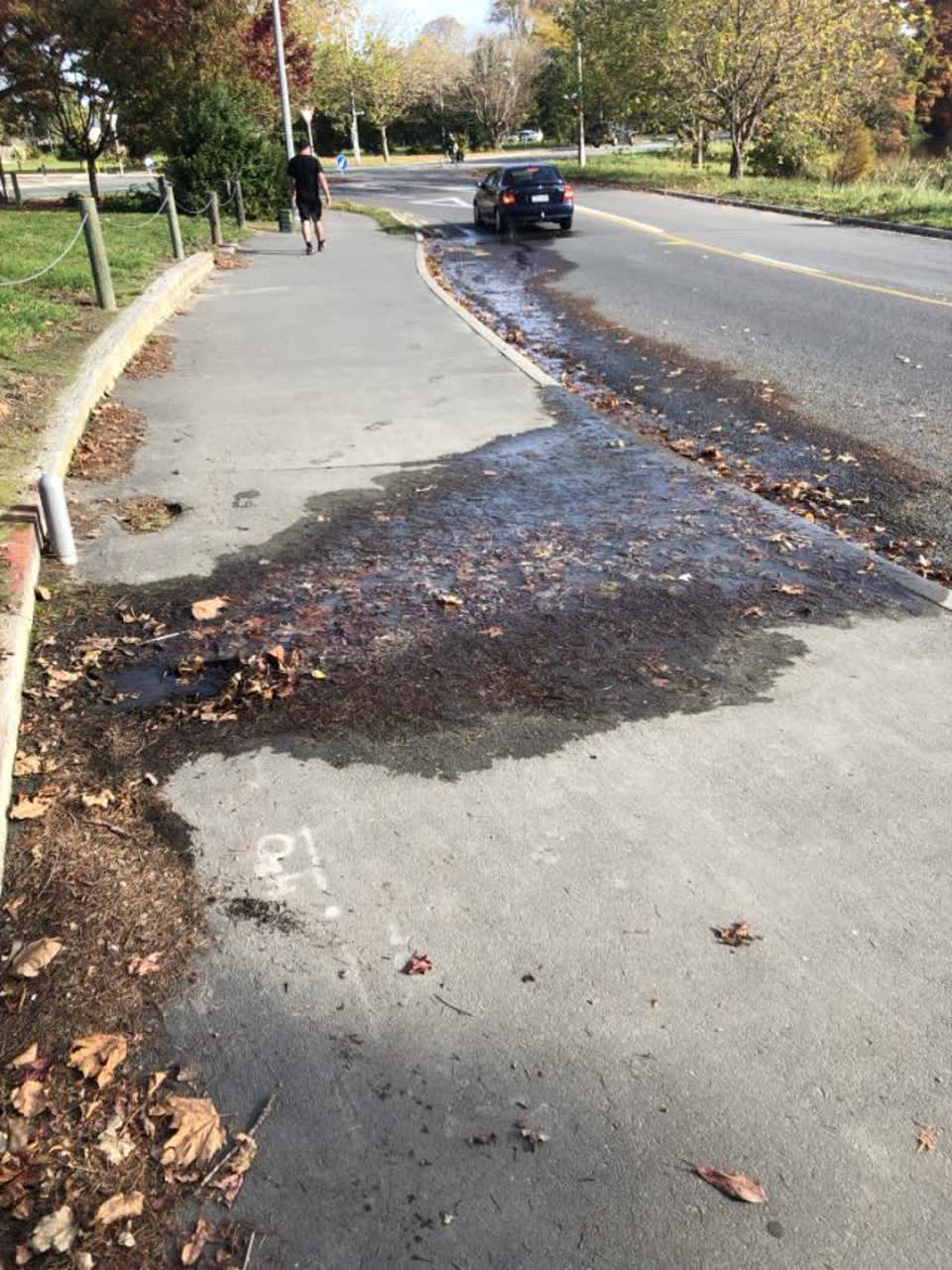 The photograph attached to this water supply report