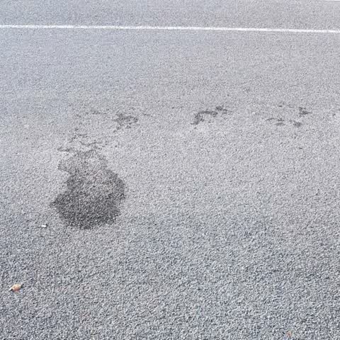 Roading/Streets, a report photo