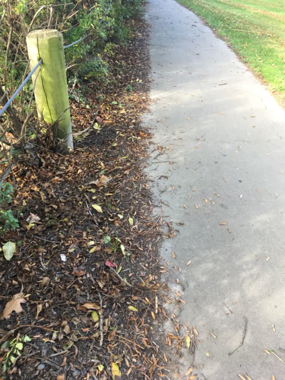 The photograph attached to this parks report
