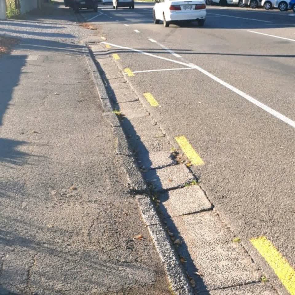 The photograph attached to this roading/streets report