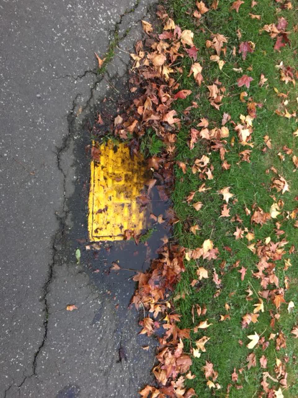 The photograph attached to this water supply report