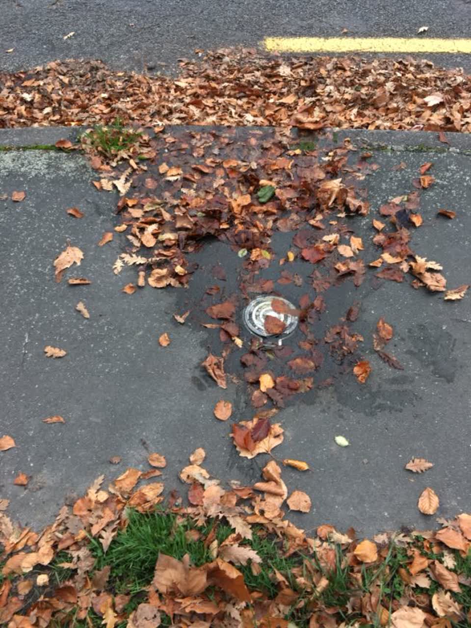 The photograph attached to this water supply report