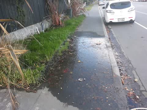 Water Supply, a report photo