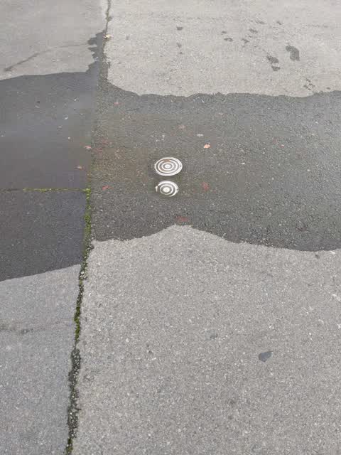 Water Supply, a report photo