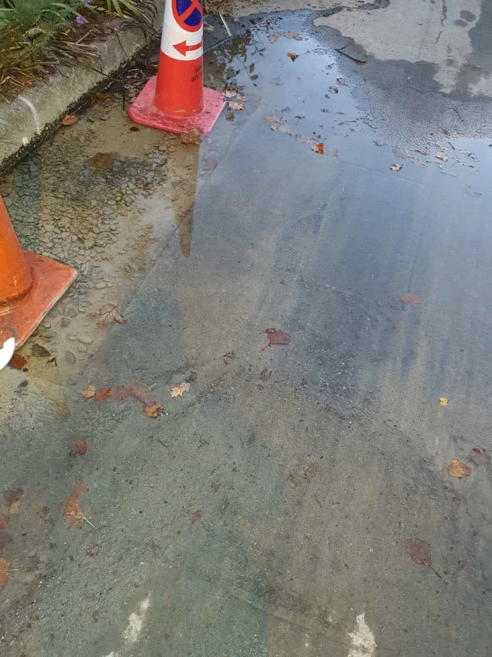 The photograph attached to this water supply report