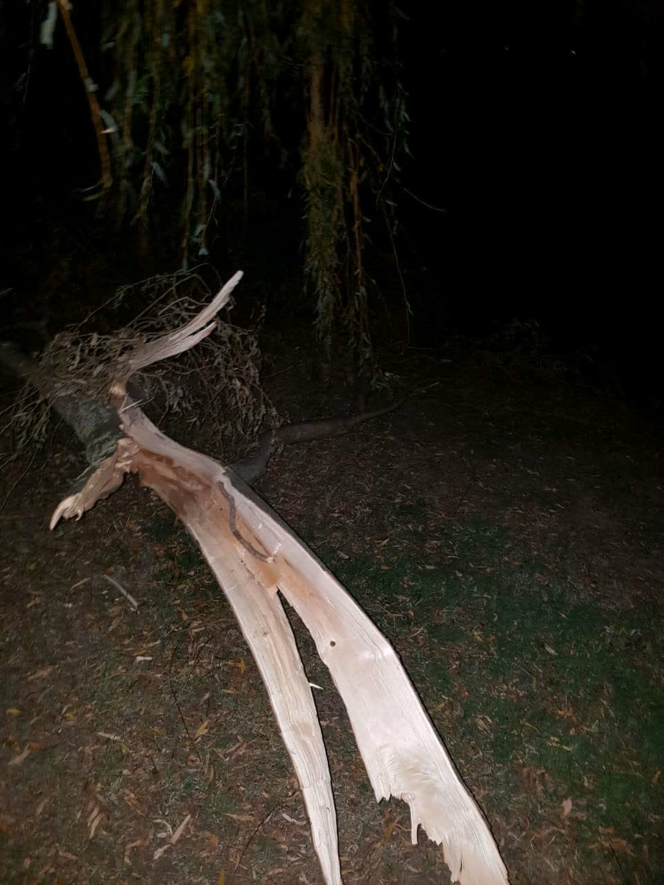 The photograph attached to this parks report