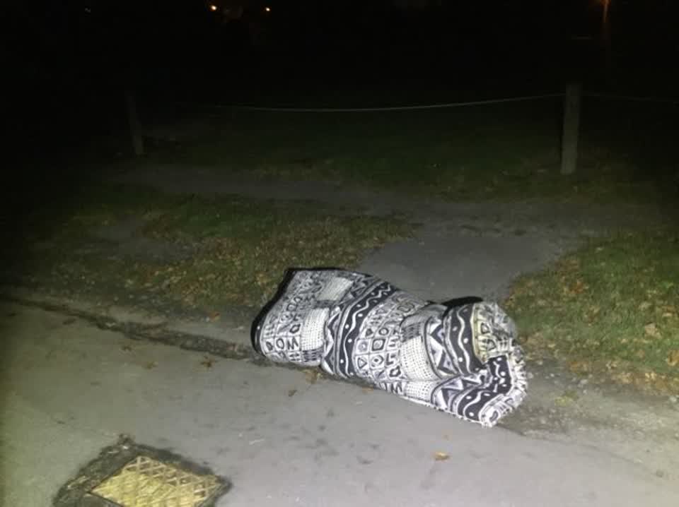 The photograph attached to this rubbish/recycling report