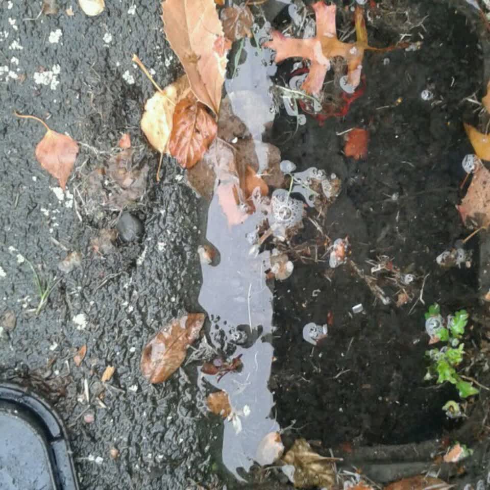 The photograph attached to this wastewater/stormwater report