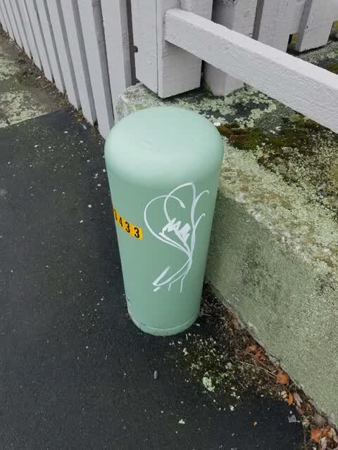 Graffiti, a report photo