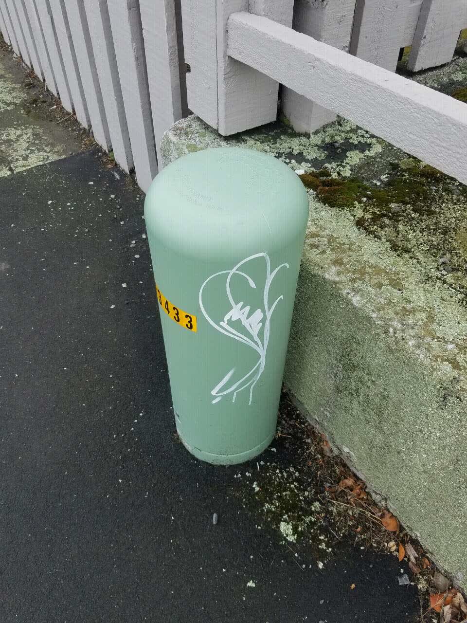 The photograph attached to this graffiti report