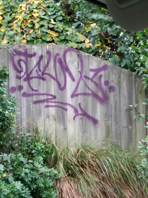 Graffiti — a report photo