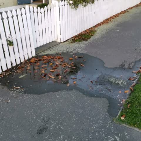 Water Supply, a report photo