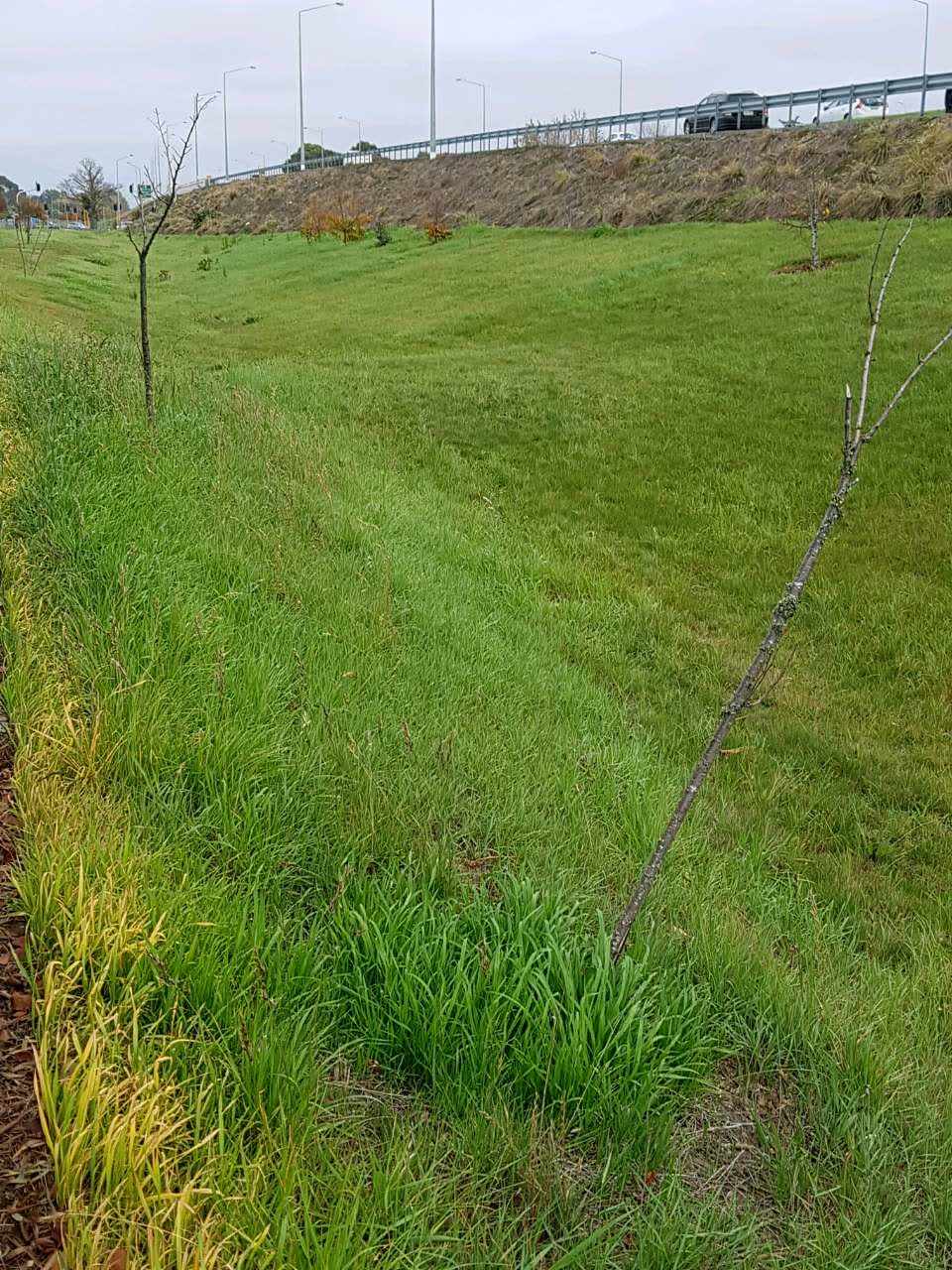 The photograph attached to this parks report