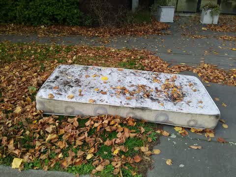Rubbish/Recycling, a report photo