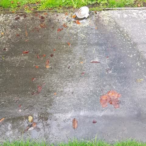 Wastewater/Stormwater, a report photo
