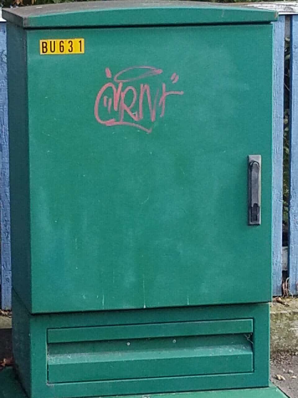 The photograph attached to this graffiti report
