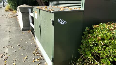 Graffiti, a report photo