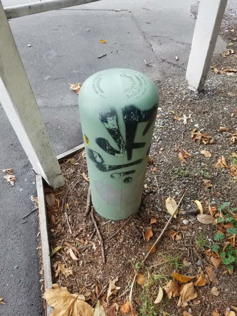 Graffiti, a report photo