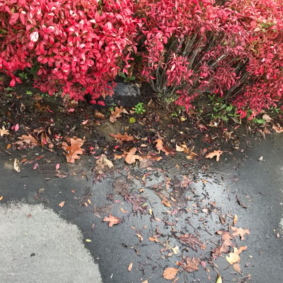 The photograph attached to this water supply report