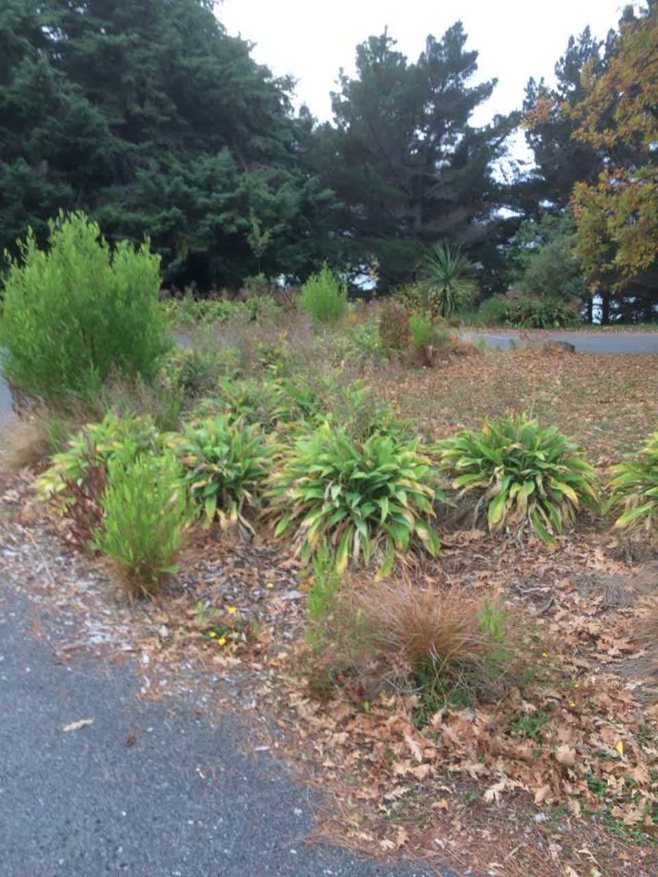 The photograph attached to this parks report